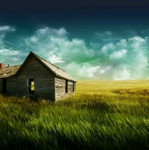 Meet your Posher, Darla